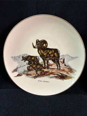 Clark Bronson Limited Edition Collector’s Plate - Big Horn Sheep